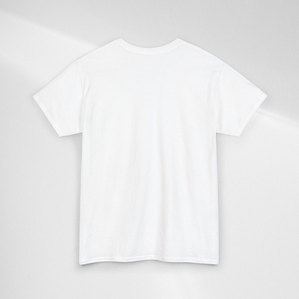 JIN Level Shirt — Cute Pink & Blue Mirrors Graphic Tee ("Comfort Level: Secure")