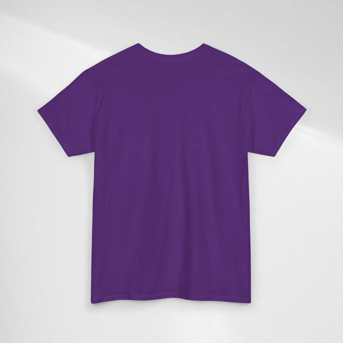 JIN Level Shirt — Cute Pink & Blue Mirrors Graphic Tee ("Comfort Level: Secure")