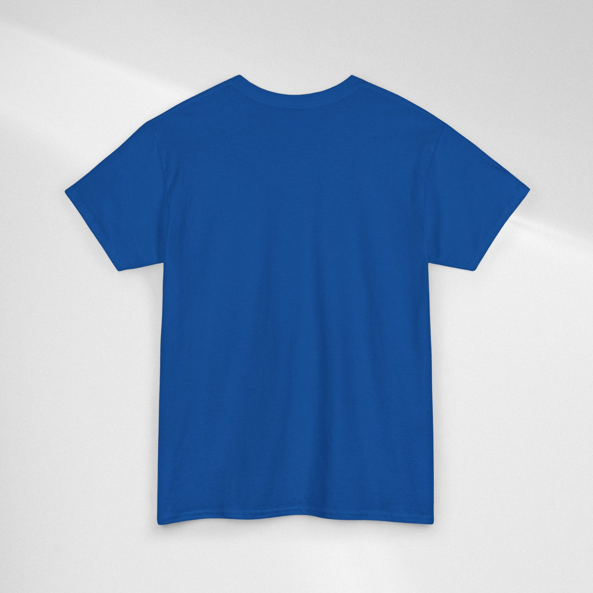 JIN Level Shirt — Cute Pink & Blue Mirrors Graphic Tee ("Comfort Level: Secure")